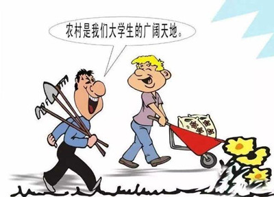 考公、考研難度高，應(yīng)屆生你還有4種選擇