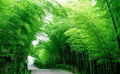 公務(wù)員考試時政熱點(diǎn)：2019年8月備考時事（第三周）